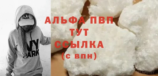 сатива Аркадак