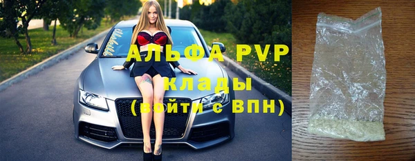 сатива Аркадак