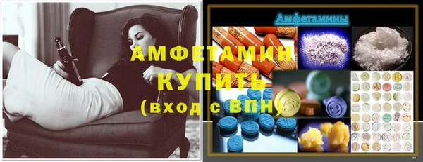 ПСИЛОЦИБИНОВЫЕ ГРИБЫ Няндома