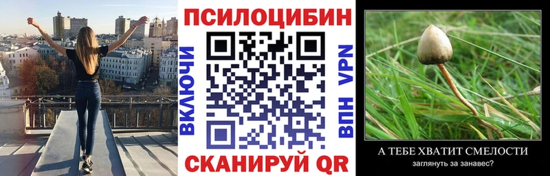 Купить закладки  Бронницы  Галлюциногенные грибы прущие грибы 